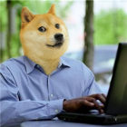 Avatar de Usuario