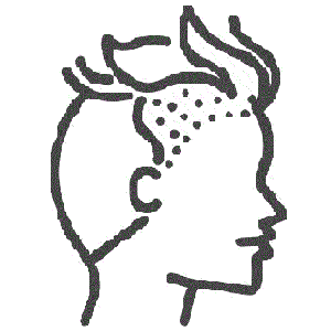 Avatar de Usuario